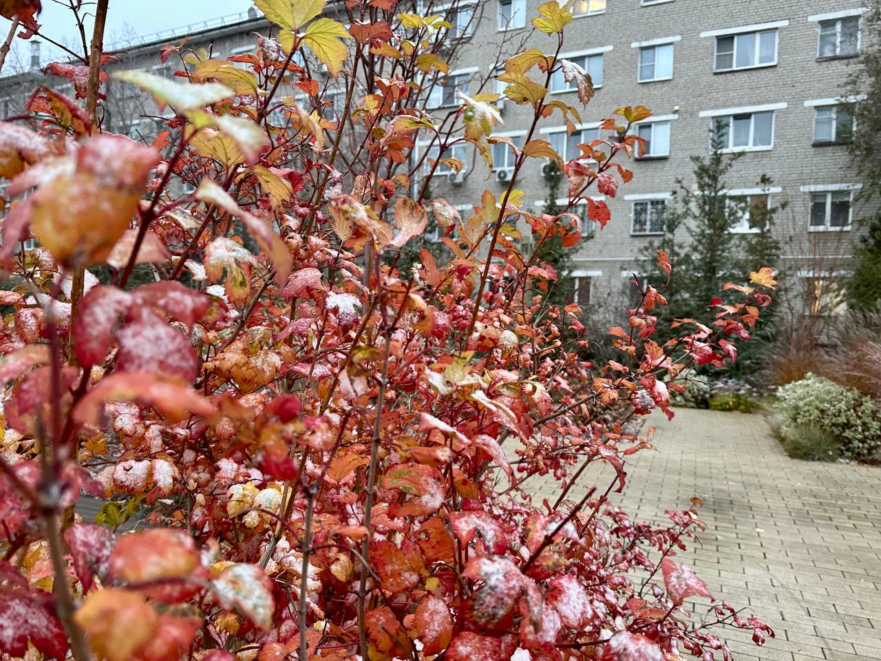 Фото: РБК Татарстан