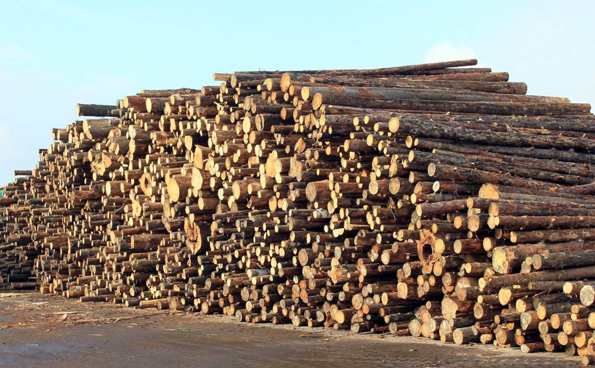 Фото: РБК Уфа