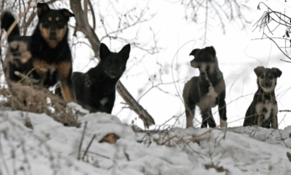 Илья Наймушин / РИА Новости