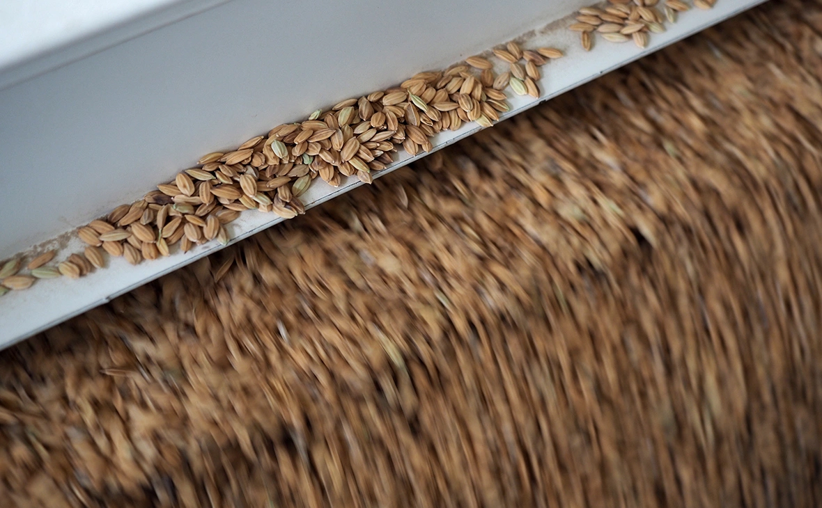 Виталий Тимкив / ТАСС