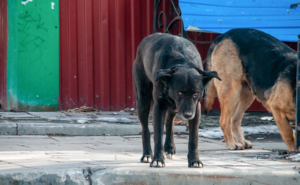 Светлана Возмилова / Global Look Press