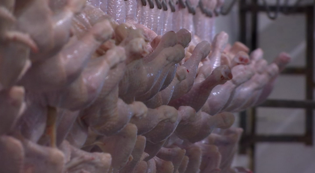 В Прикамье нашли несуществующую площадку по производству мясных продуктов