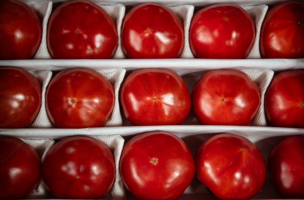 Фото: Илья Московец / URA.RU