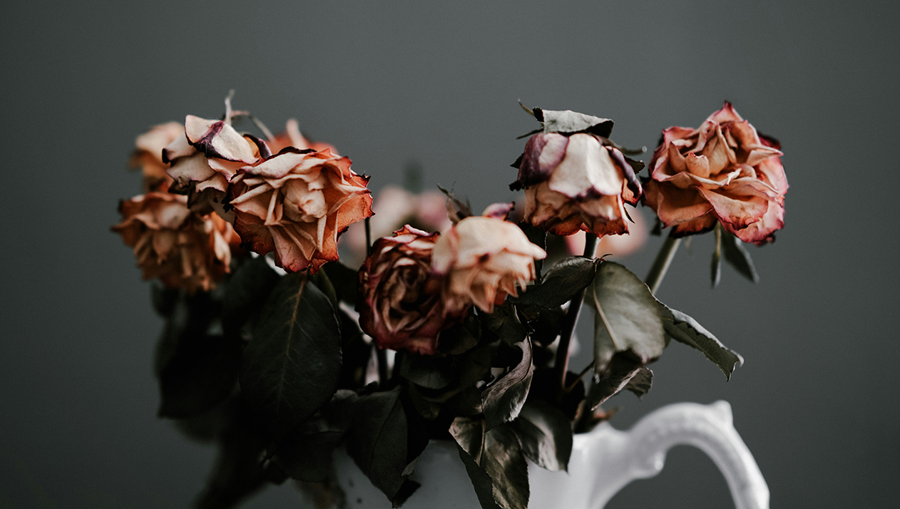 #простыевопросы: как не грустить после новогодних праздников