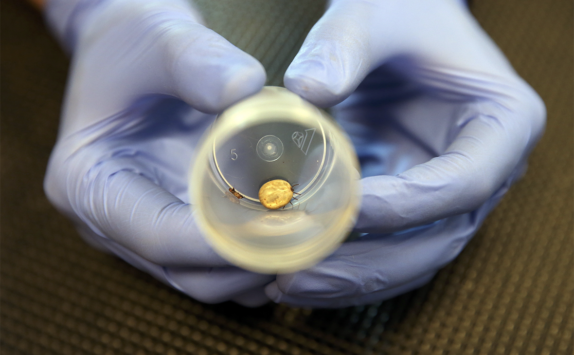 Артем Геодакян / ТАСС