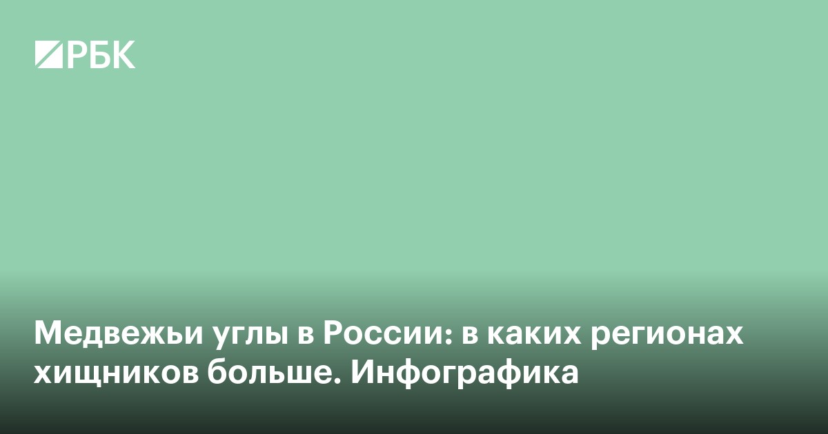 Медвежьи углы в России: в каких регионах хищников больше. Инфографика