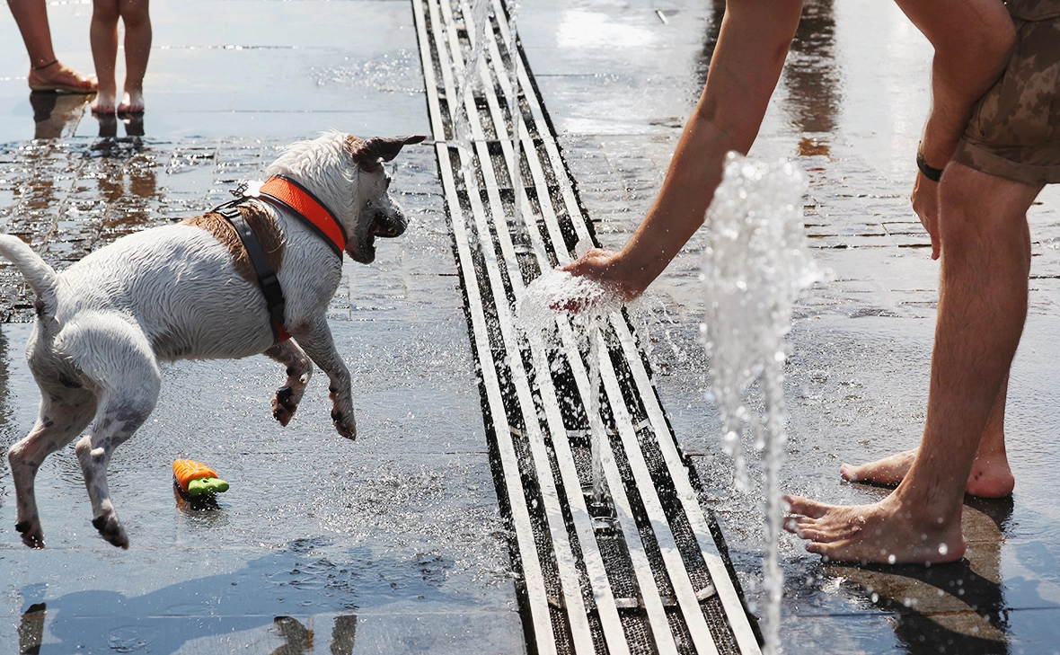 Андрей Любимов / РБК
