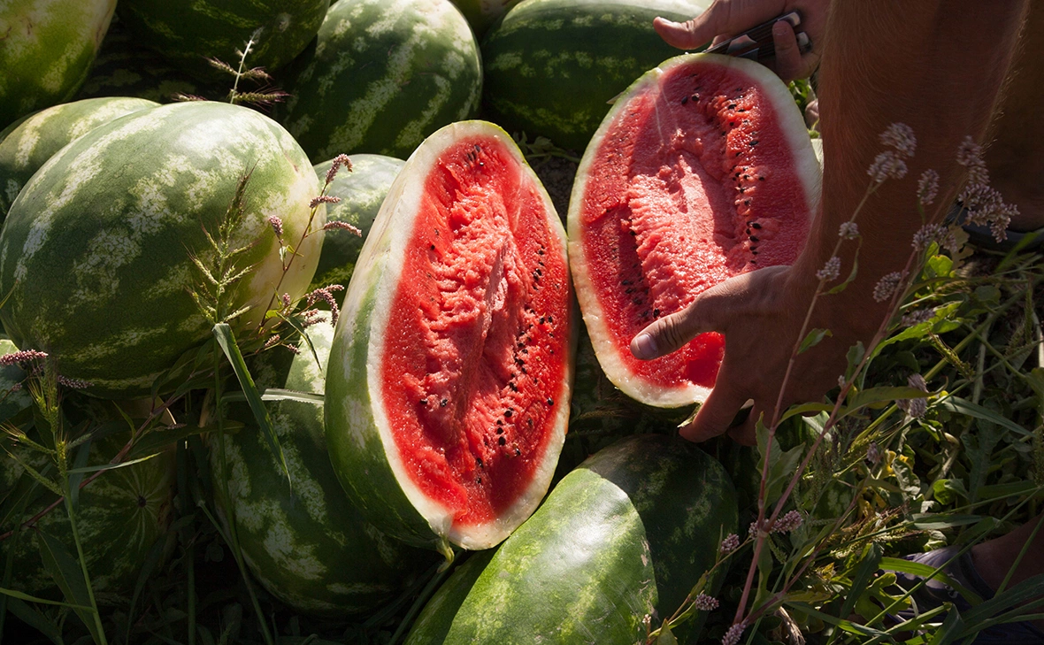 Екатерина Левина для РБК