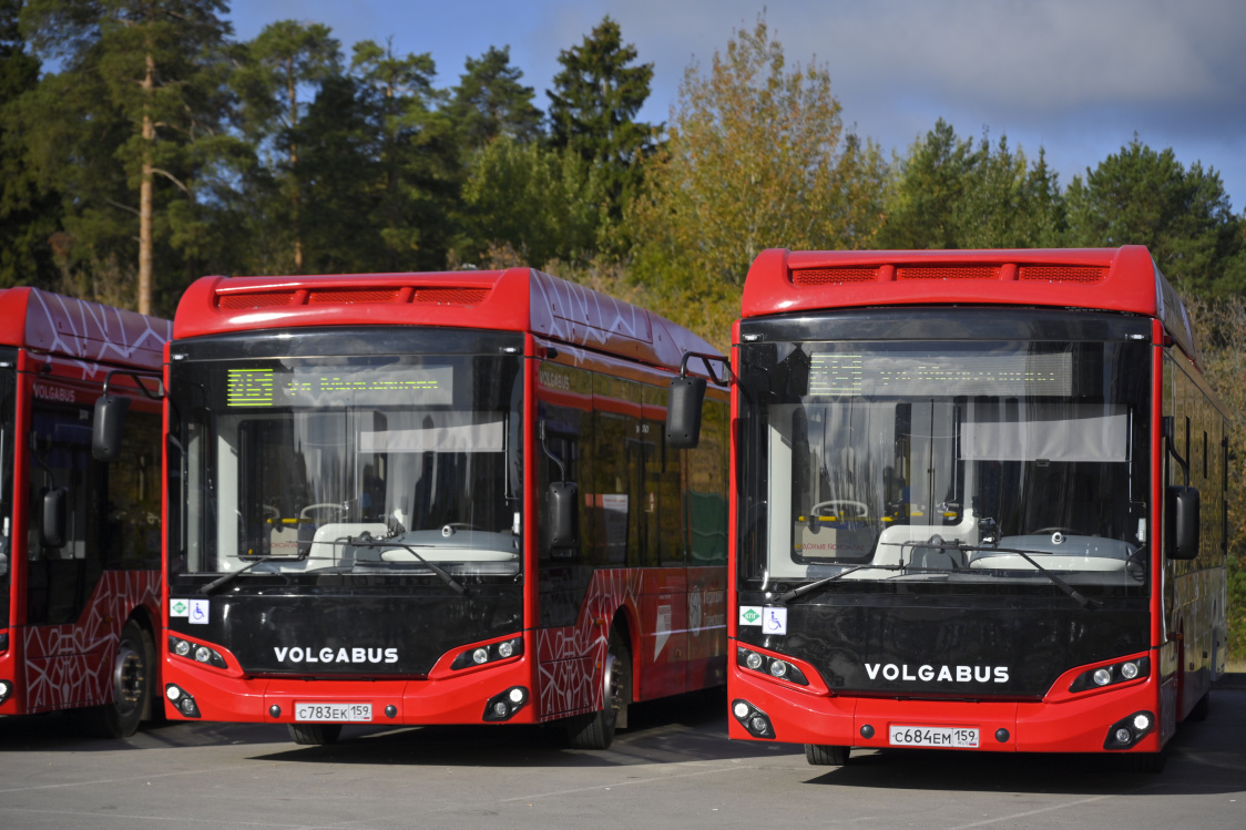 Фото: Пресс-служба Правительства Пермского края  