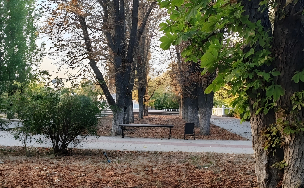 РБК Черноземье