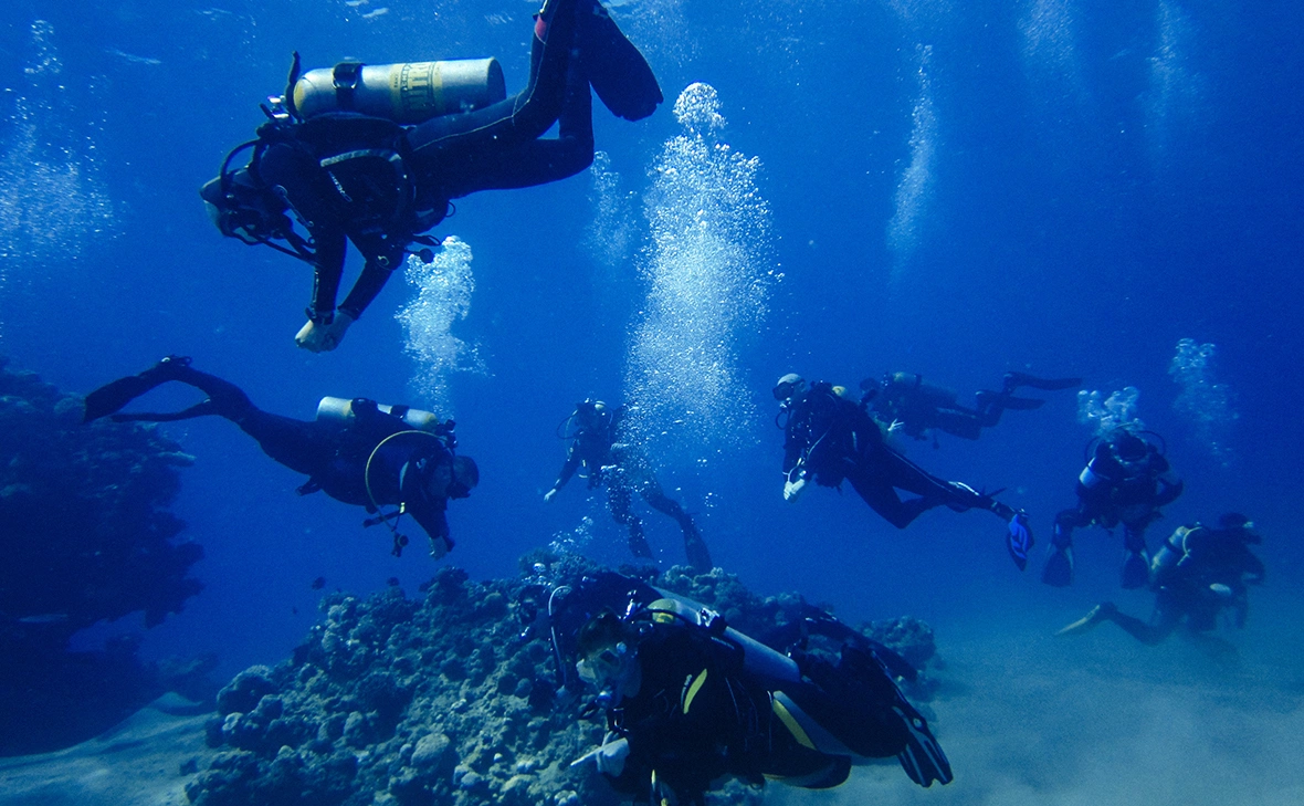 Ed Giles / Getty Images