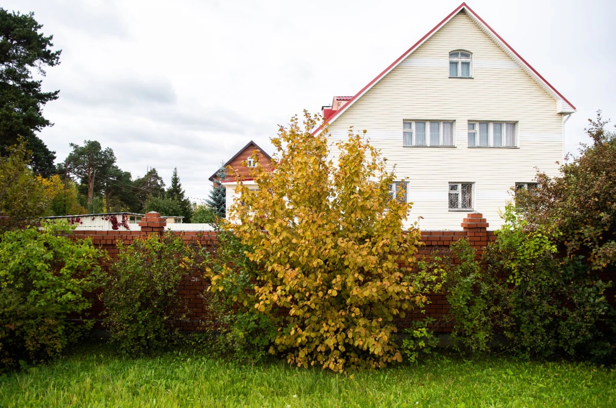 Анна Майорова / URA.RU 