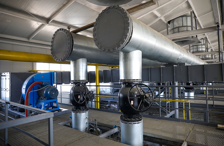 правительство Приморского края