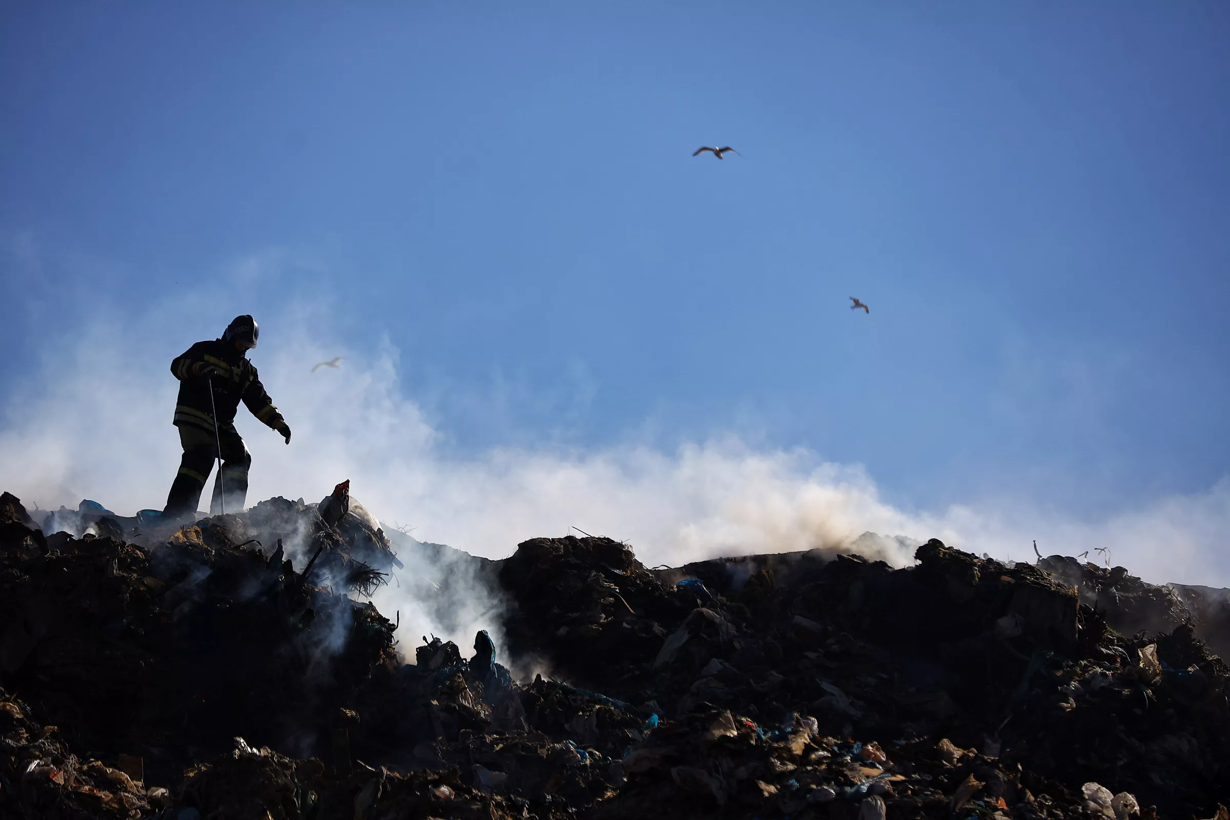 Александр Подгорчук