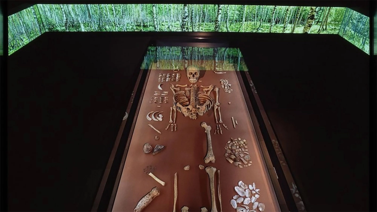 <p>В 1934 году в Германии нашли могилу шаманки, жившей 9 тыс. лет назад. Захоронение представлено в Государственном музее предыстории в Галле</p>