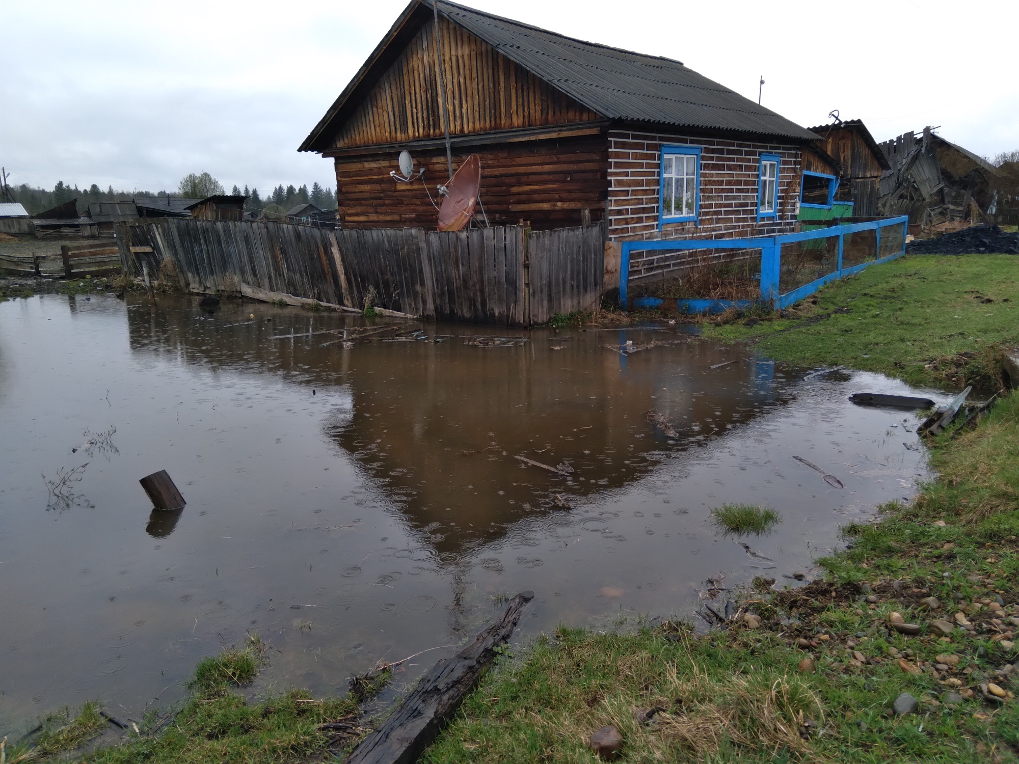 МЧС предупредило новосибирцев об опасном подъеме воды в Оби — РБК