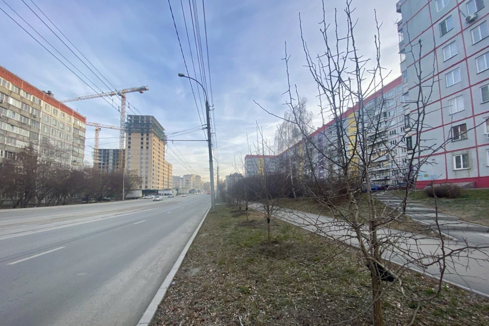 администрация Дзержинского района Новосибирска