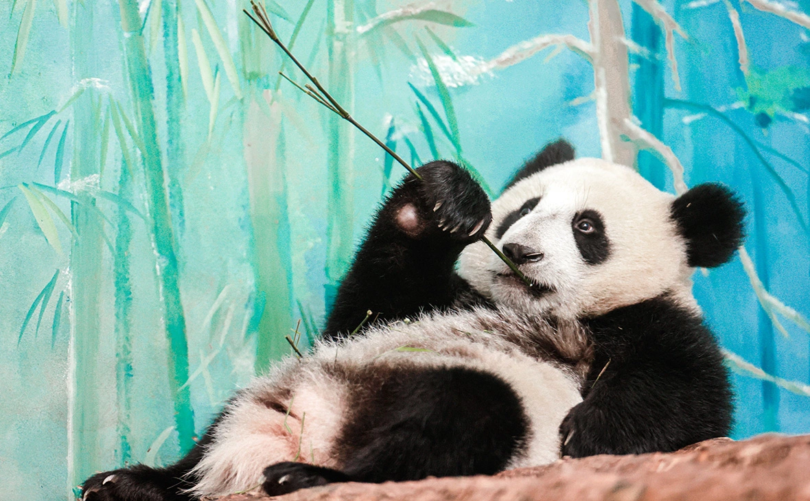 Михаил Синицын / ТАСС