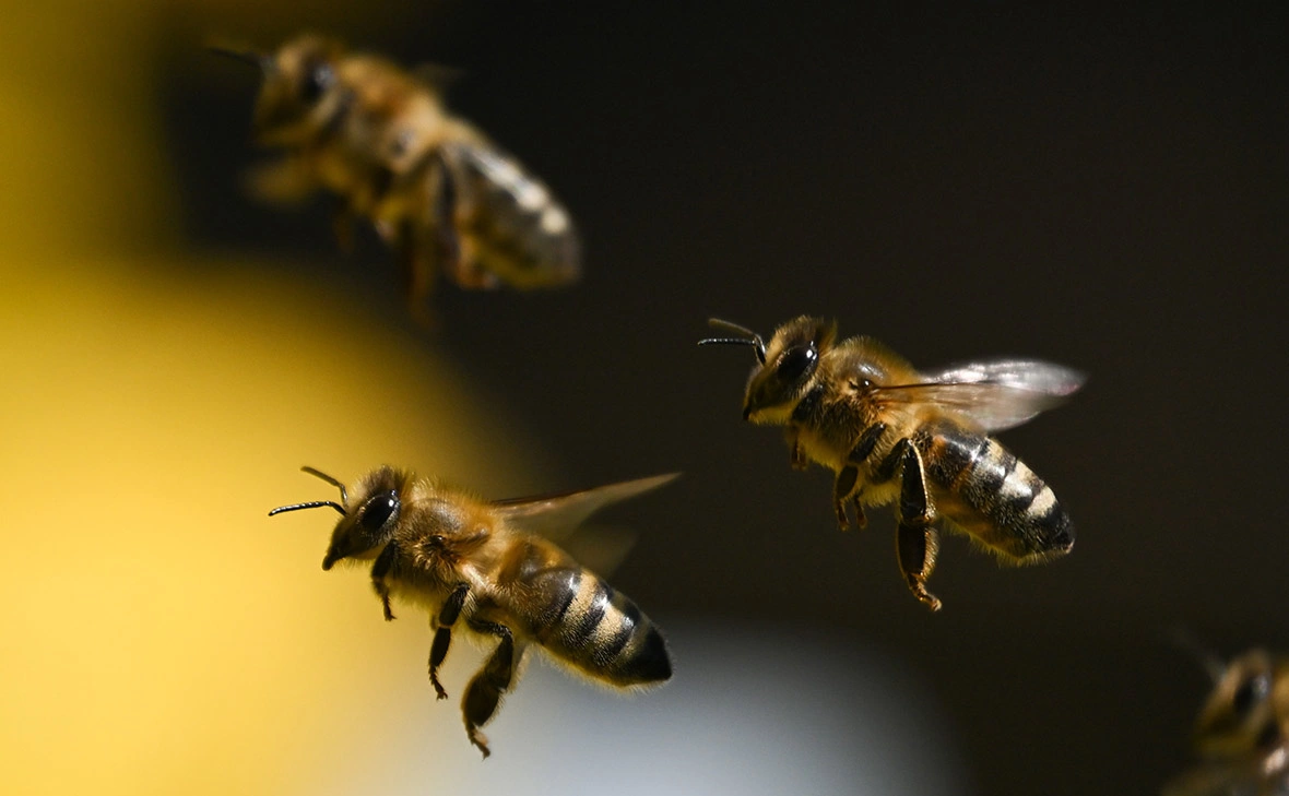 Arne Dedert / dpa / Global Look Press