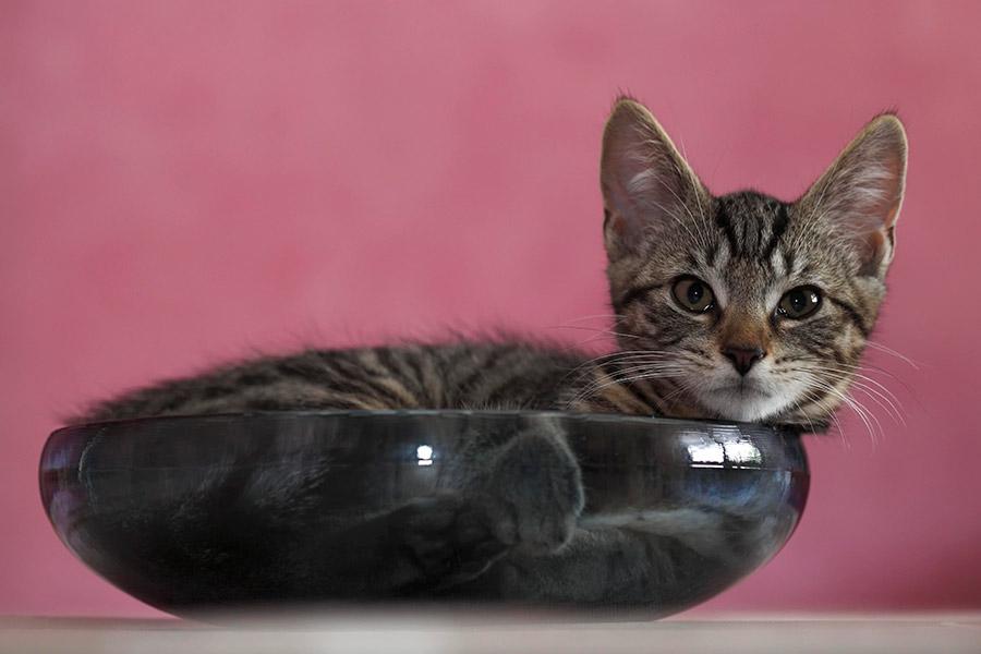 Фото: Volker Lautenbach / Image Broker / Global Look Press