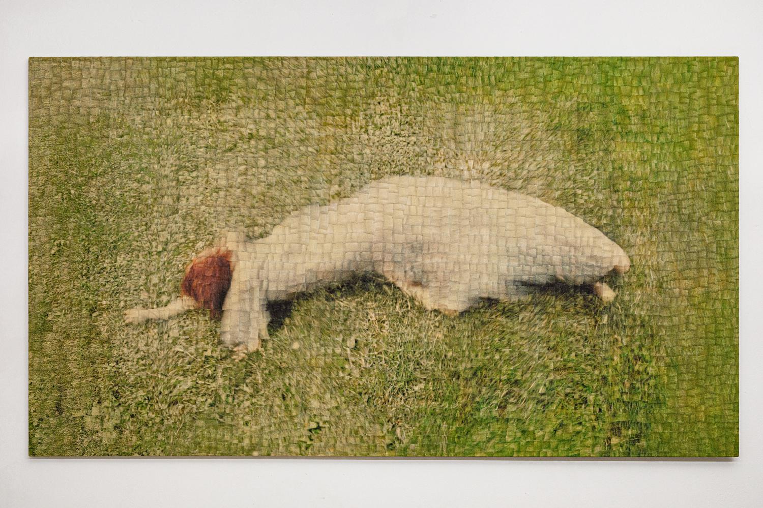 Евгений Шишкин. Virgin Territory #1. 2025