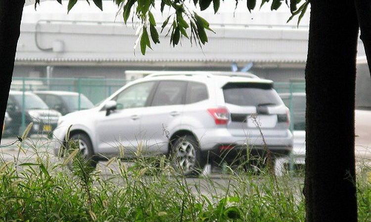 Subaru Forester: новая платформа, привычный облик
