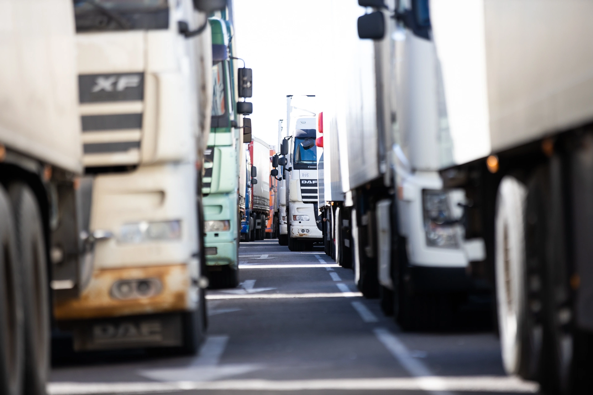 Александр Подгорчук