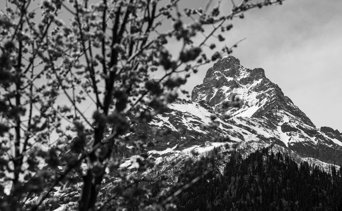 Иван Высочинский / ТАСС