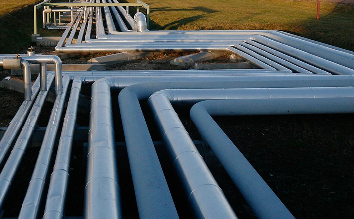 Фото:  Katja Buchholz / Getty Images