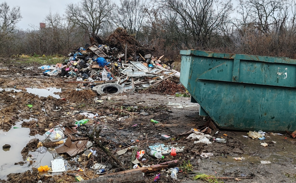 Фото: РБК Черноземье