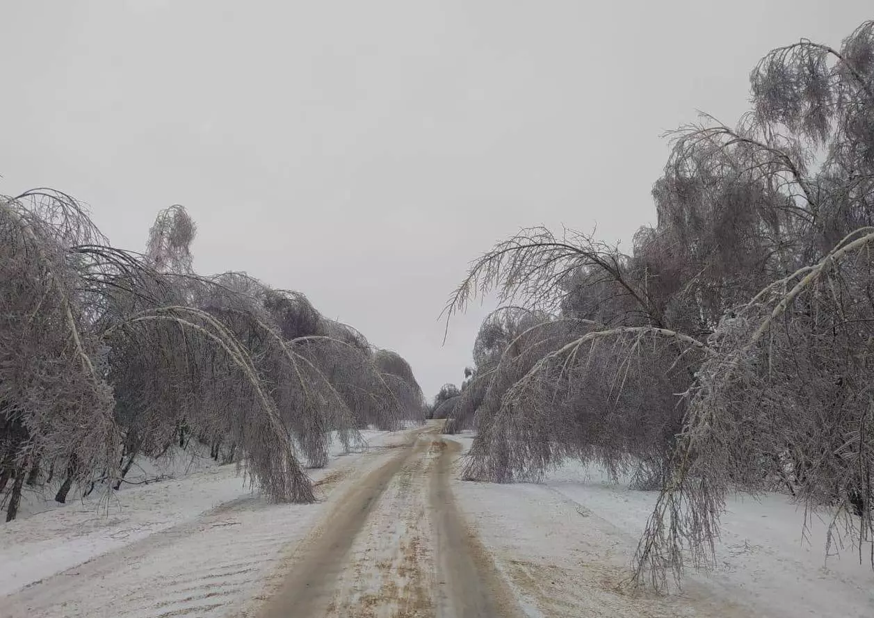 Телеграм-канал "Россети"