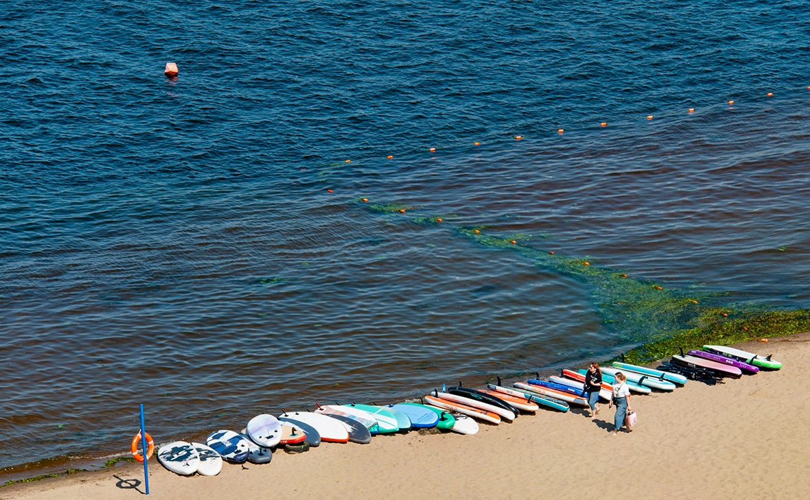 Светлана Возмилова / Global Look Press