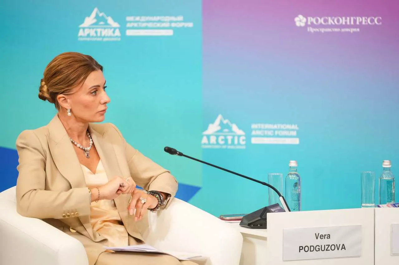 предоставлено Росконгрессом