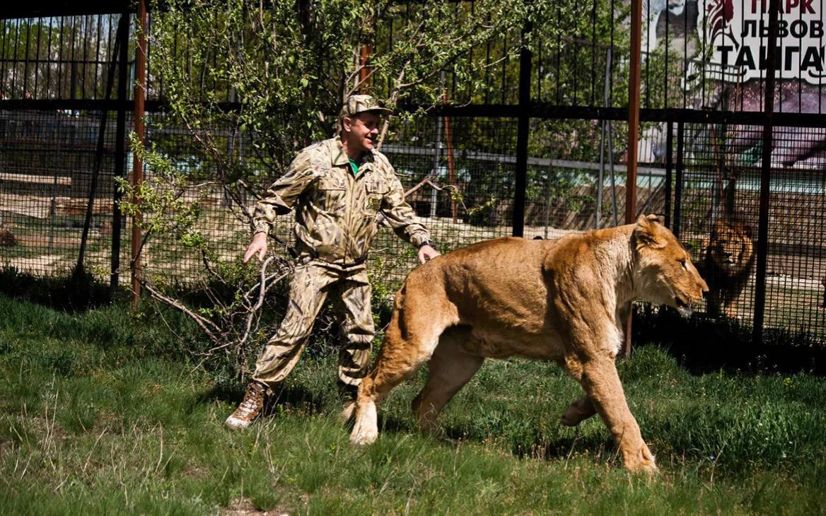Суд приговорил директора крымского зоопарка за нападение тигра на ребенка