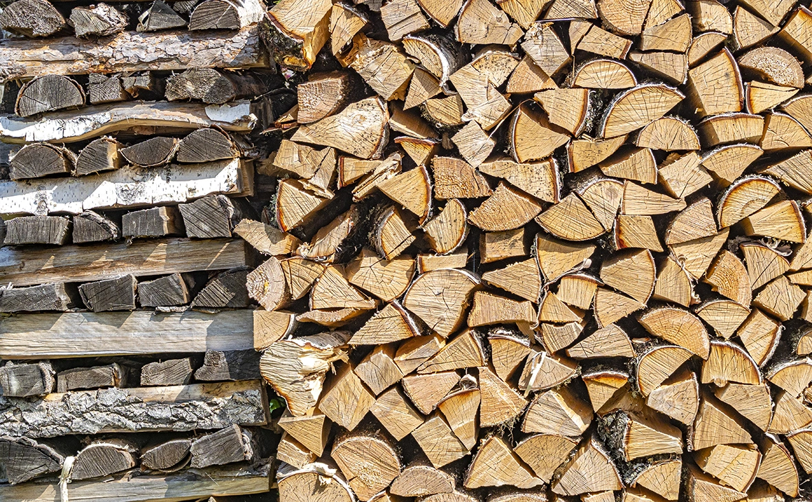 Константин Кокошкин / Global Look Press