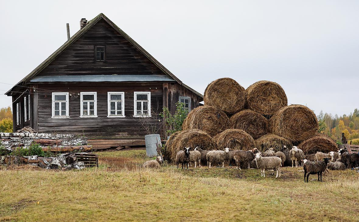 Фото: Сергей Савостьянов / ТАСС