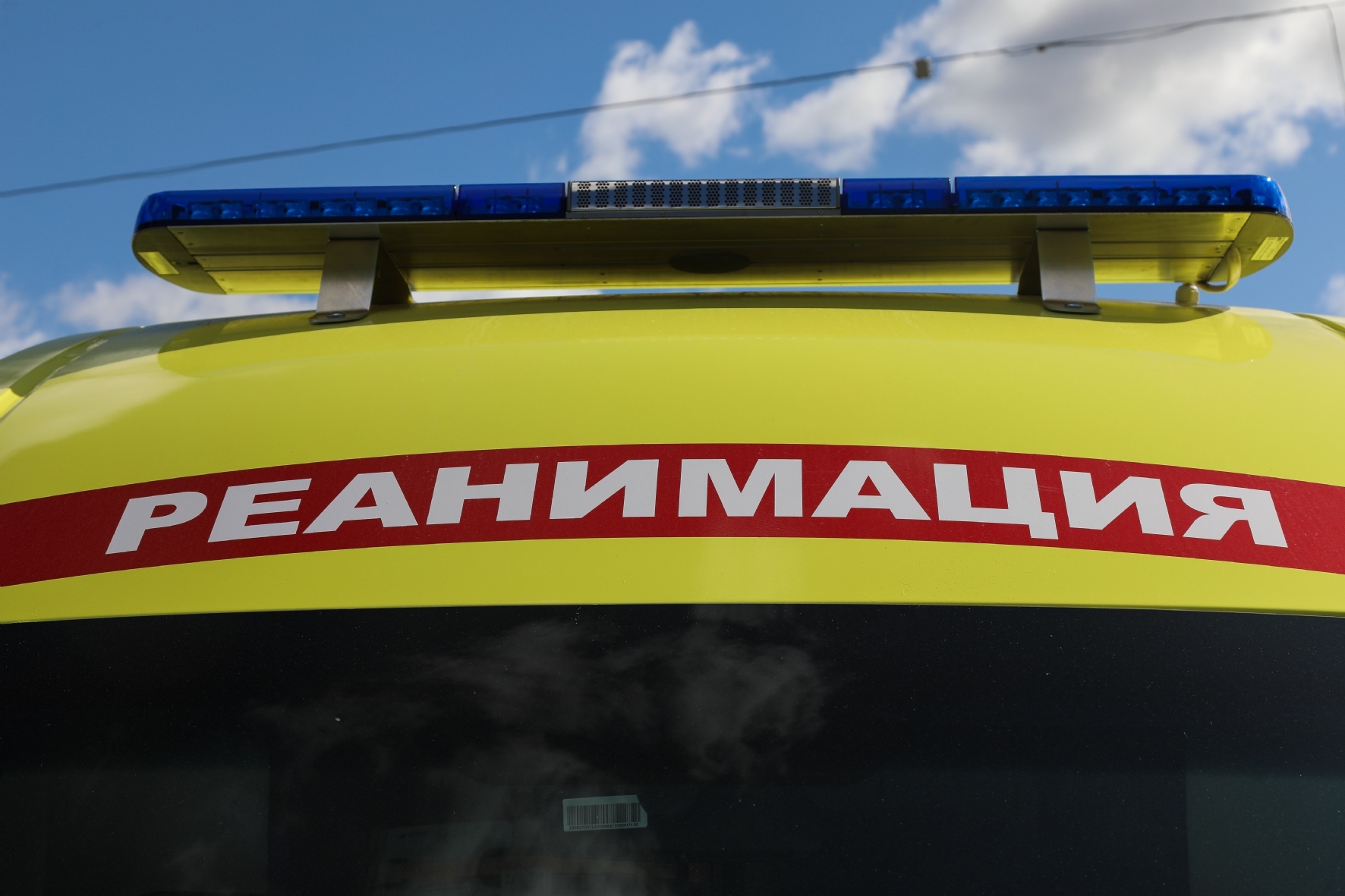 Фото: Пименов Роман / PhotoXPress.ru