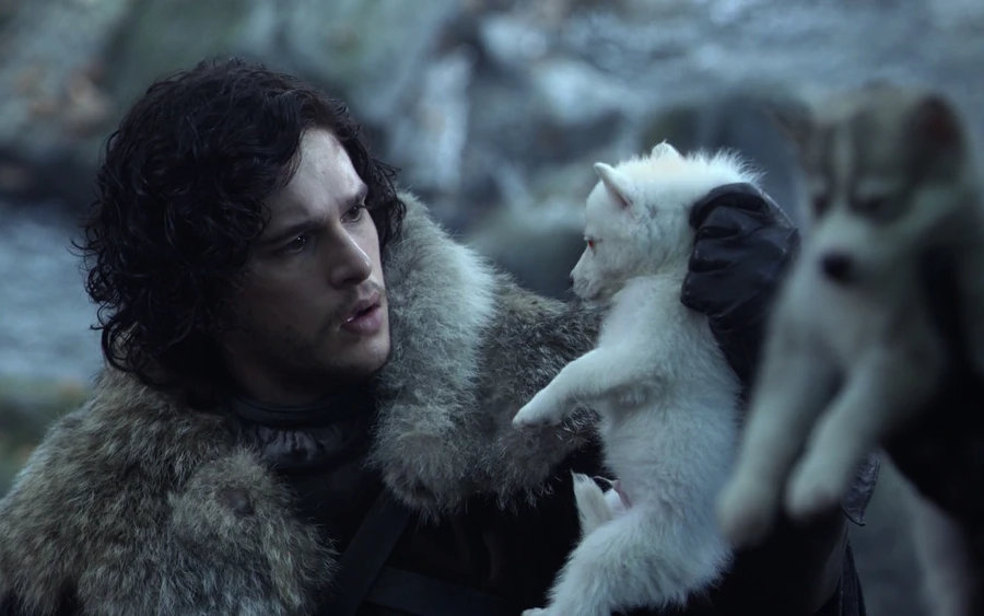 Кадр из сериала &laquo;Игра престолов&raquo;