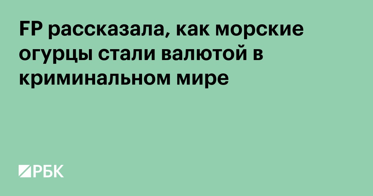 FP рассказала, как морские огурцы стали валютой в криминальном мире