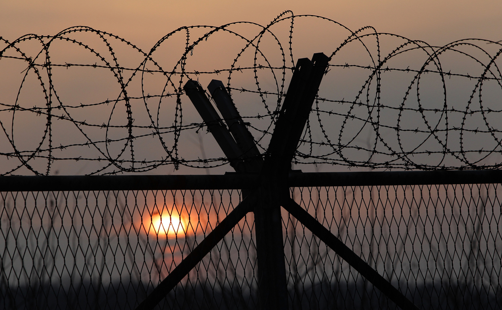 Фото: Chung Sung-Jun / Getty Images