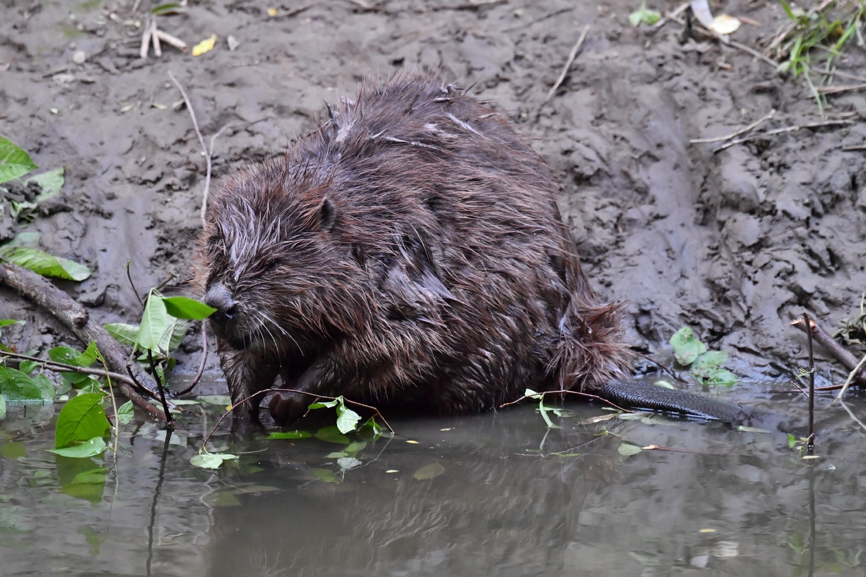 Фото: Комсомольская правда / PhotoXPress.ru