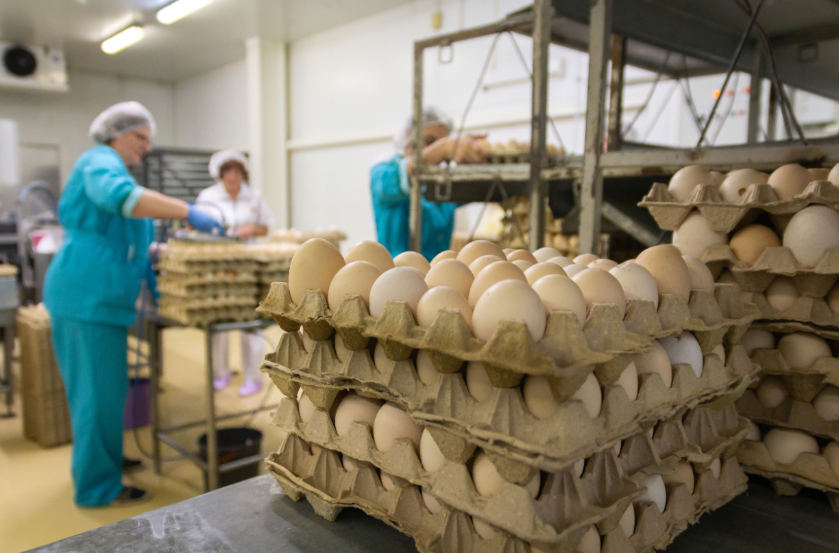 Фото: Илья Московец / URA.RU