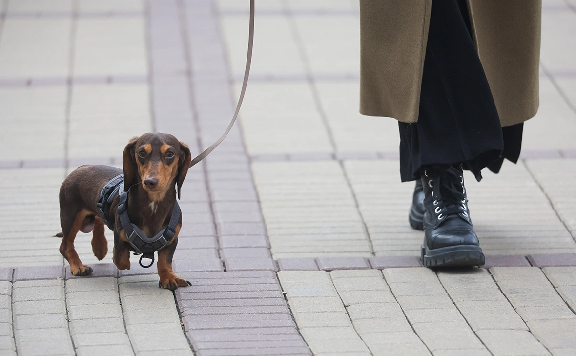 Наталья Шатохина / NEWS.ru / Global Look Press