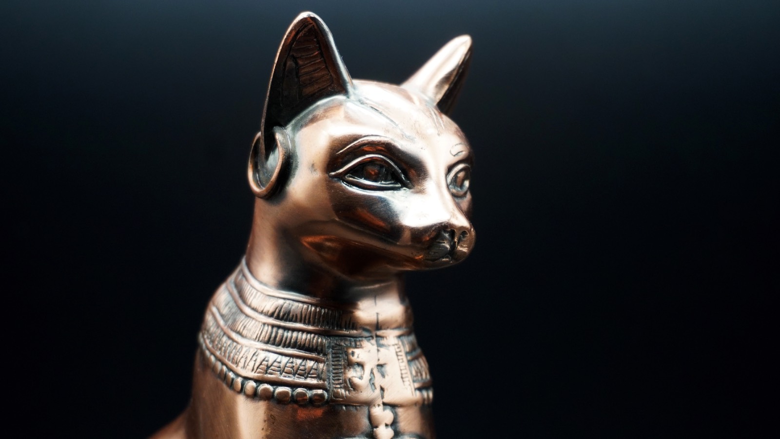 В египетской мифологии боги и богини обладали способностью превращаться в разных животных