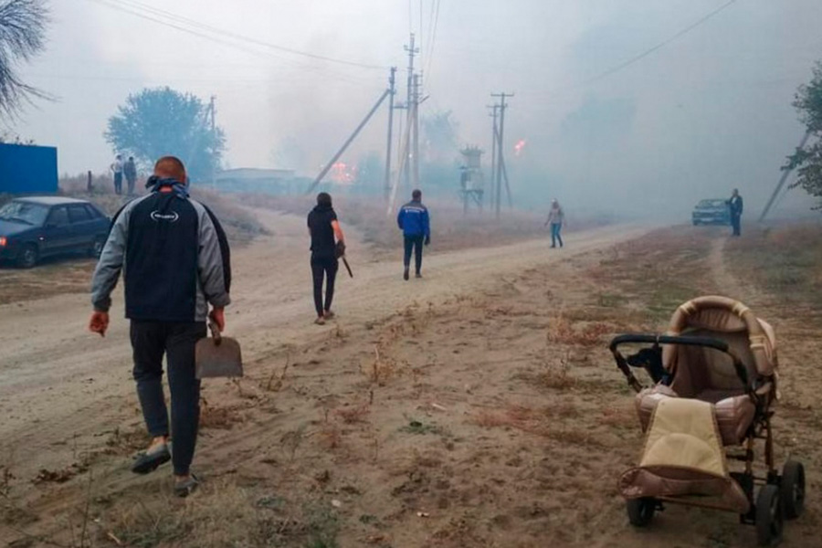 От пожаров пострадало несколько населенных пунктов в Ольховатском, Павловском и Лискинском районах