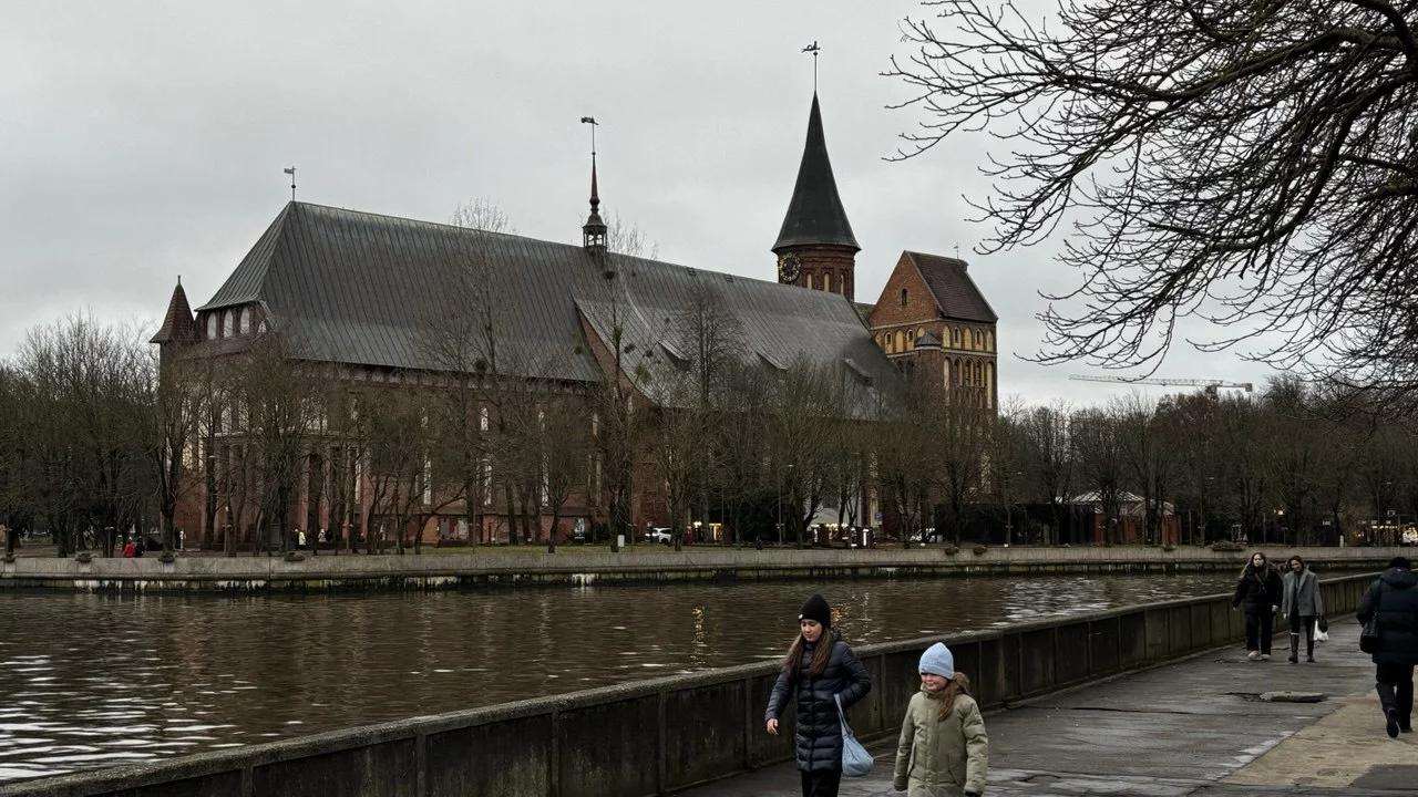 Марина Маркевич