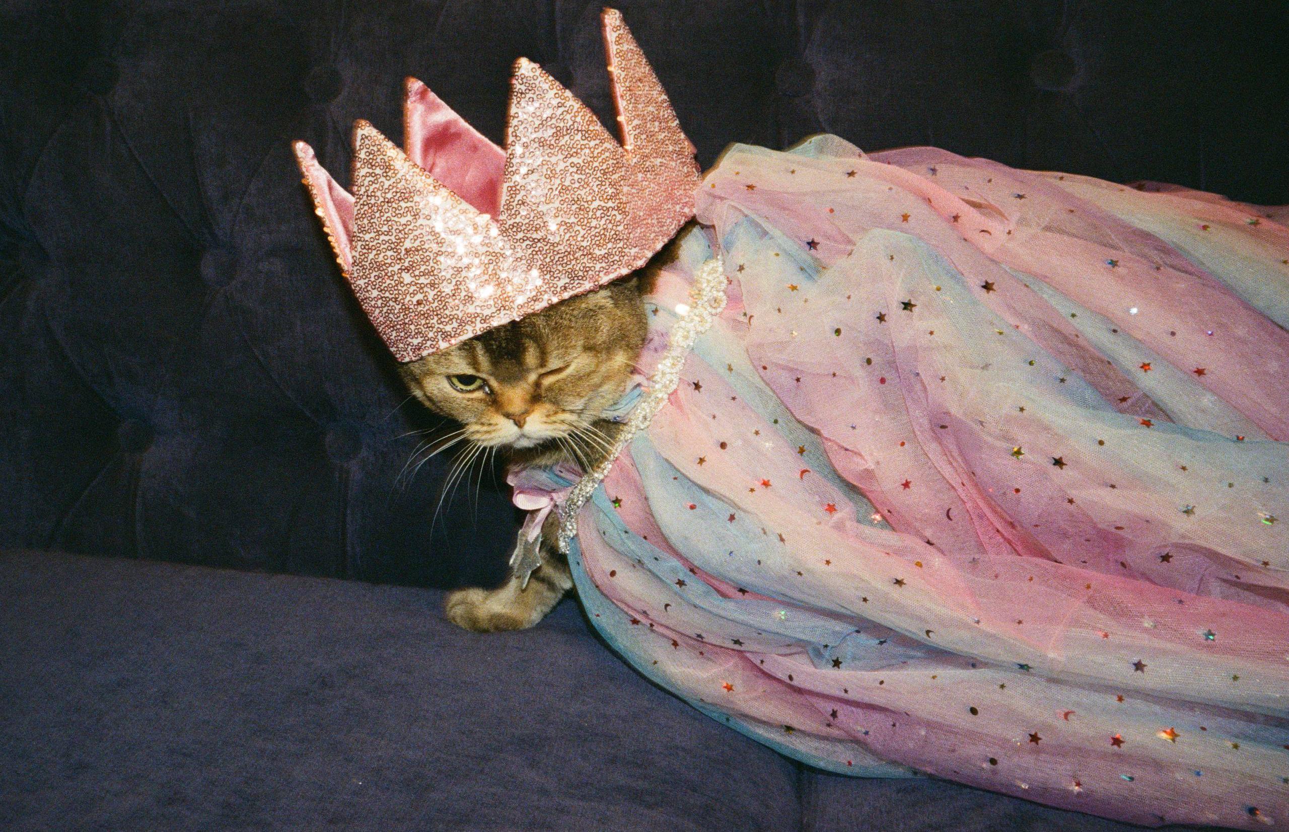 Катя Косова, «Ириска (Булочка)», 2025. Серия «Как сказать о любви_»