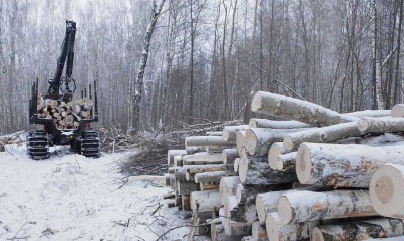 Наиболее остро проблема с учетом лесных участков в Пермском крае стоит в Пермском муниципальном районе и Добрянке.