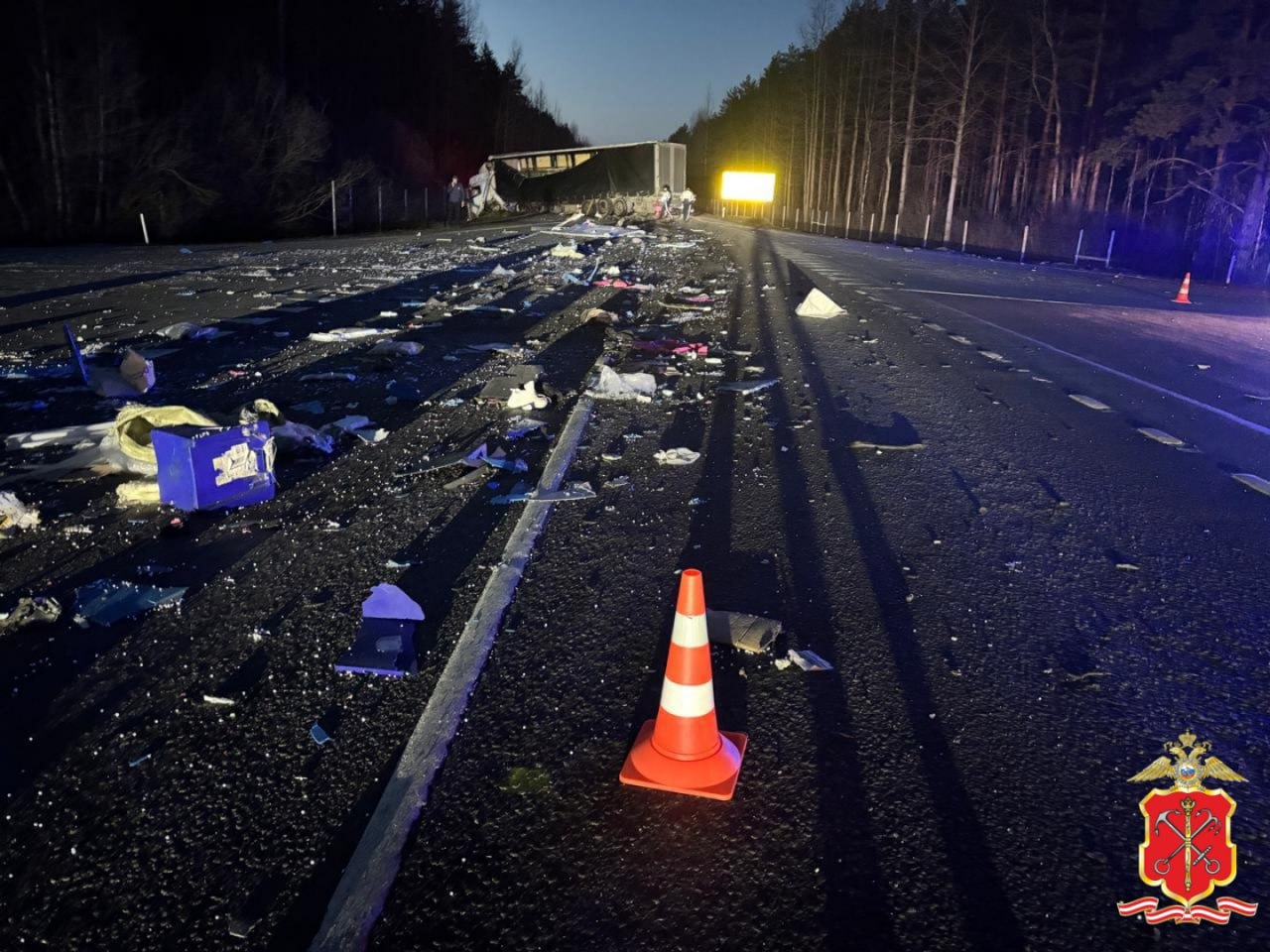 Фото: Главное управление МВД по Санкт-Петербургу и Ленинградской области