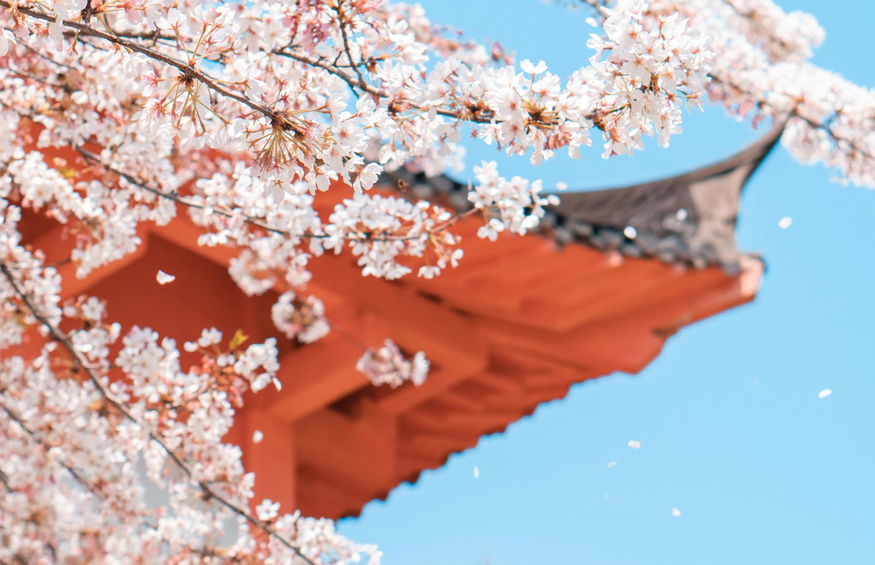 Фото: Xianyu hao / Unsplash